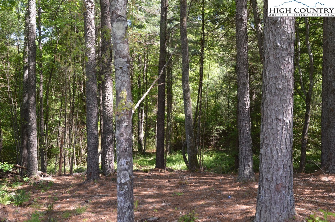 Lot #2 Brooks Road Glade Valley, NC 28627 - Photo 2 of 16 Gallery Image 2
