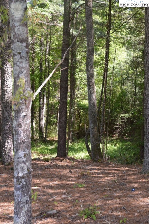 Lot #2 Brooks Road Glade Valley, NC 28627 - Photo 3 of 16 Gallery Image 3