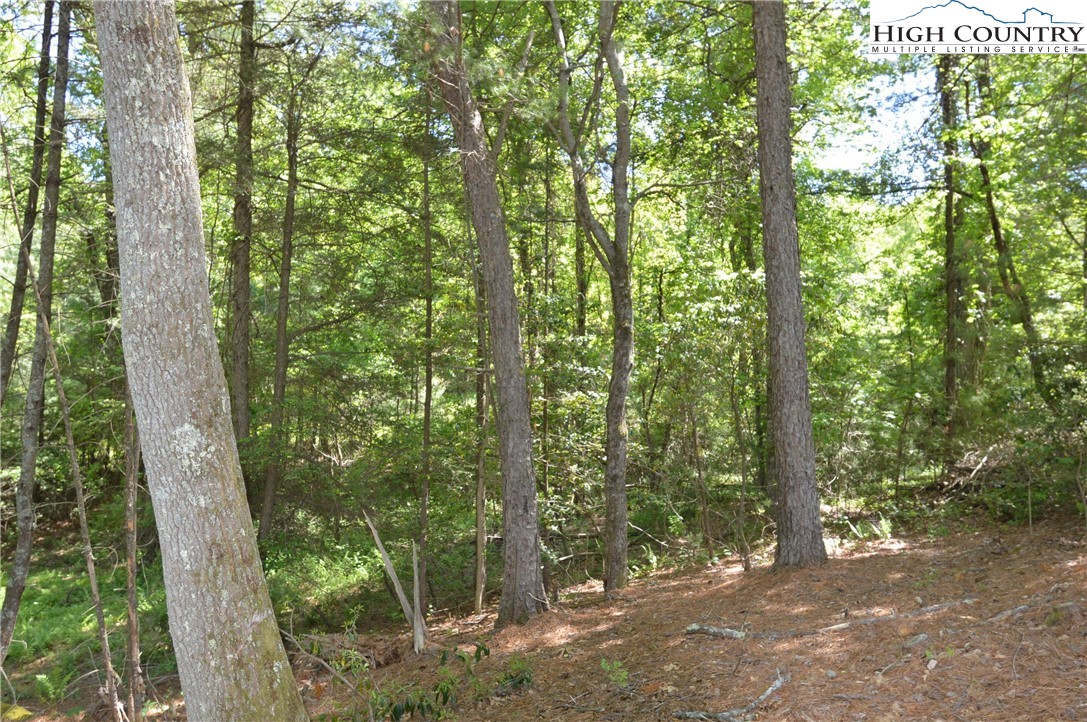 Lot #2 Brooks Road Glade Valley, NC 28627 - Photo 4 of 16 Gallery Image 4