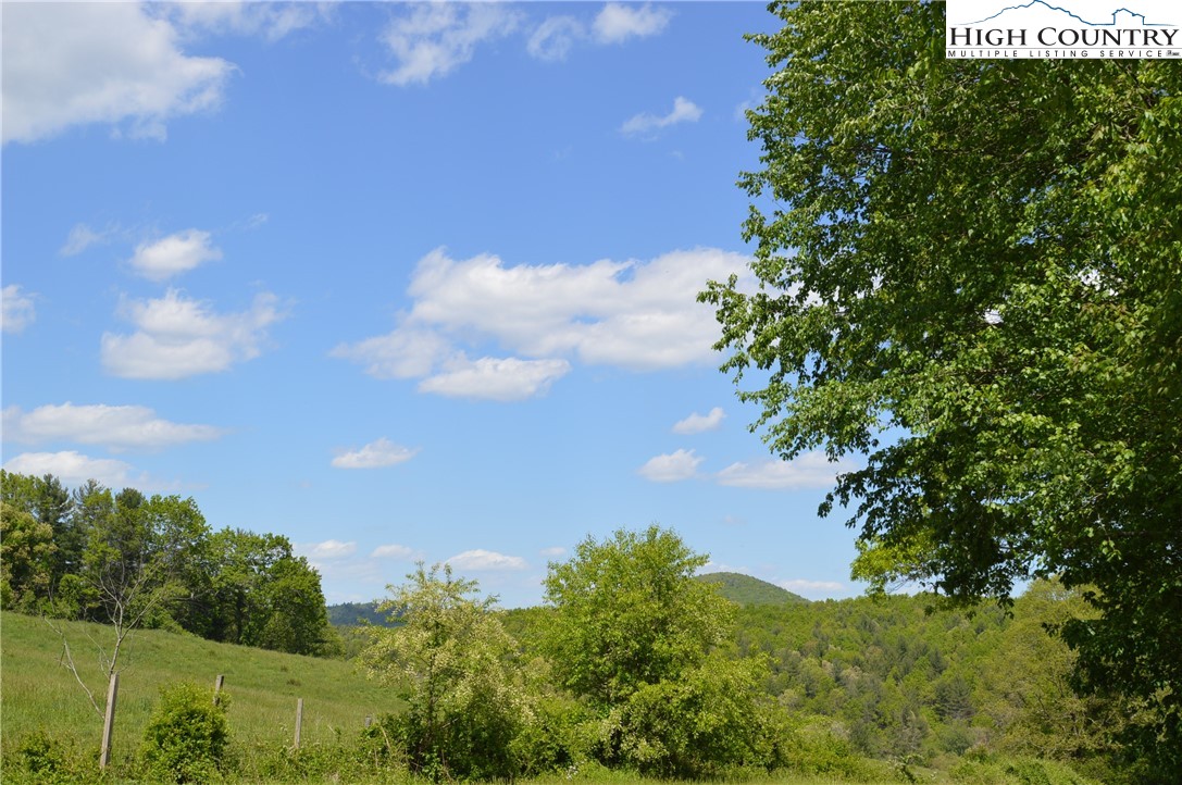Lot #2 Brooks Road Glade Valley, NC 28627 - Photo 6 of 16 Gallery Image 6
