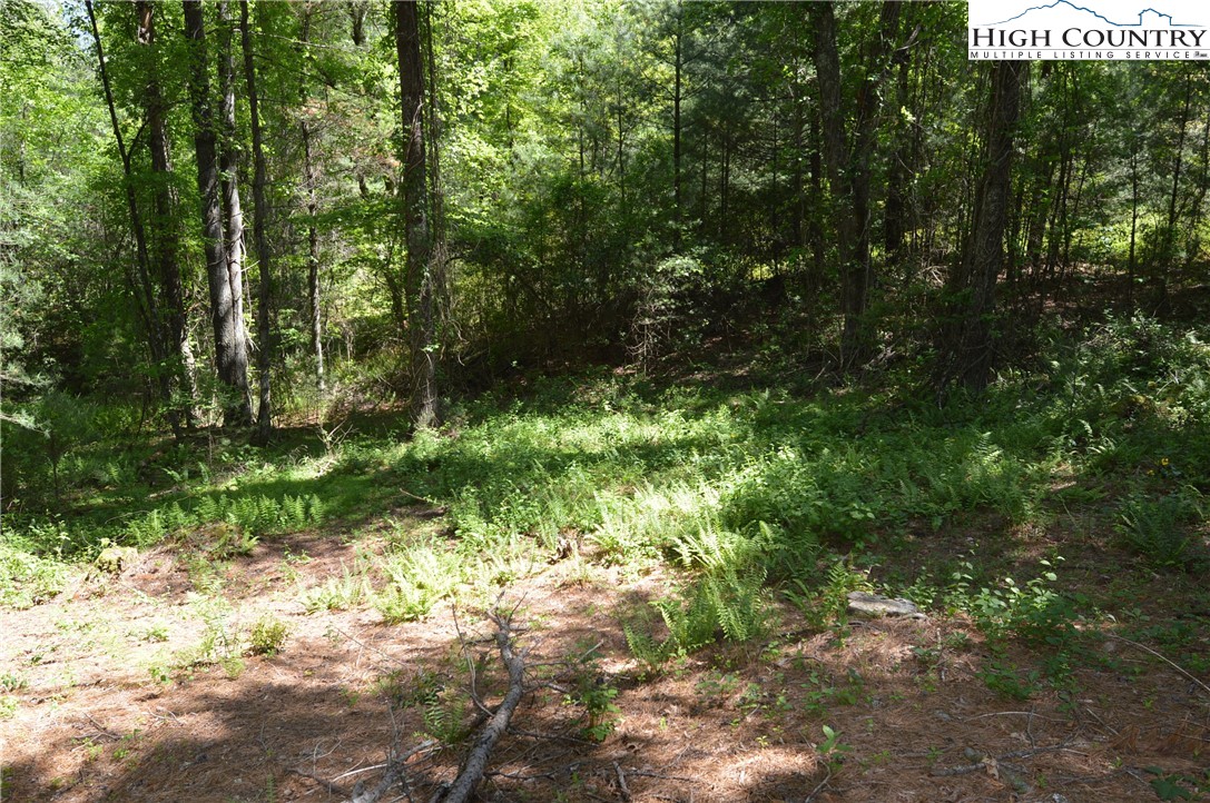Lot #2 Brooks Road Glade Valley, NC 28627 - Photo 9 of 16 Gallery Image 9