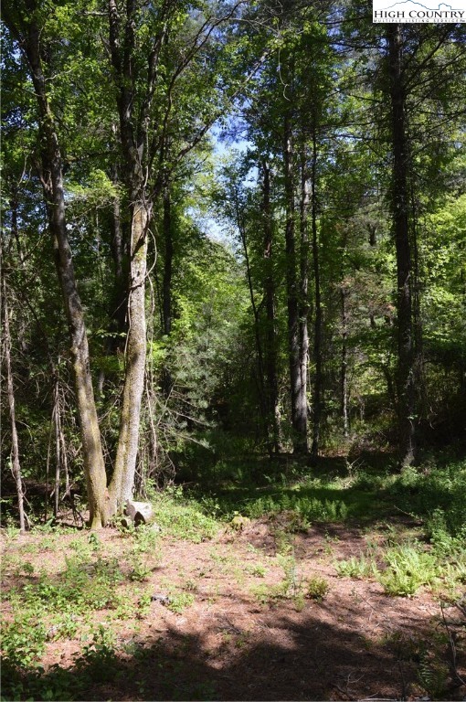 Lot #2 Brooks Road Glade Valley, NC 28627 - Photo 10 of 16 Gallery Image 10