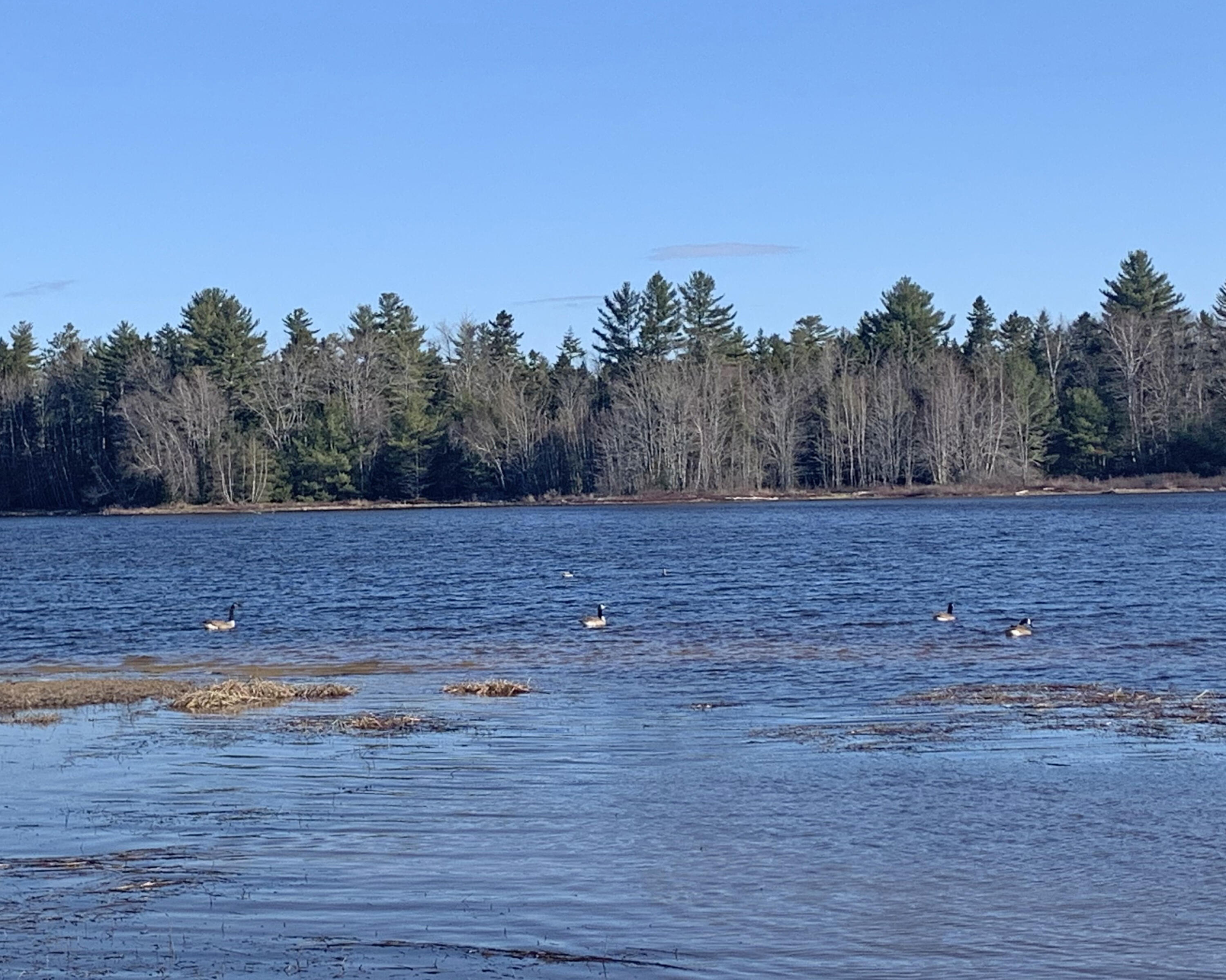 170 Tannery Brook Road Ellsworth, ME 04605 - Photo 28 of 43 4b