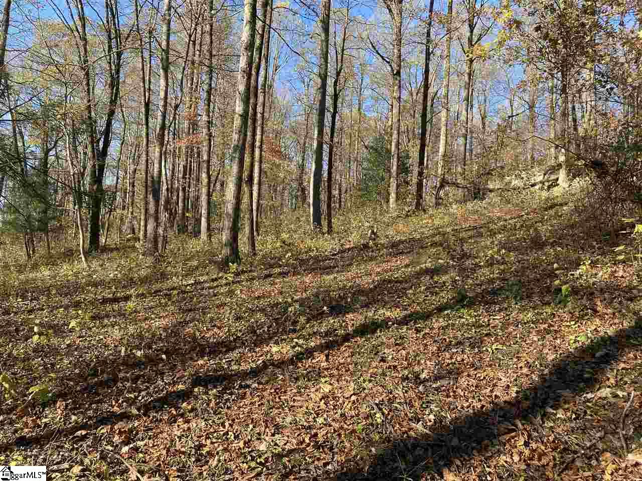 194 Catnip Trail Landrum, SC 29356 - Photo 1 of 4
