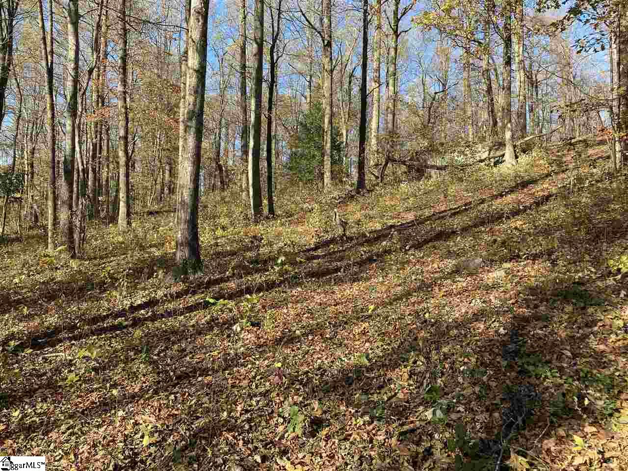 194 Catnip Trail Landrum, SC 29356 - Photo 2 of 4