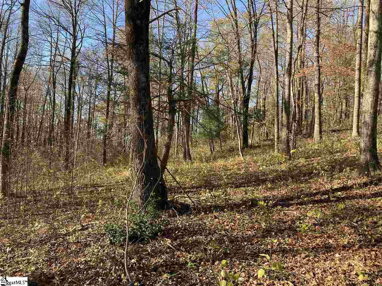 194 Catnip Trail Landrum, SC 29356 - Photo 3 of 4