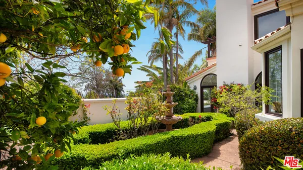 a view of a garden with plants