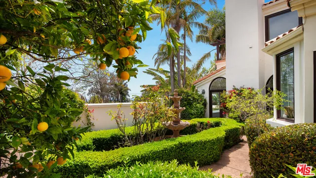 a view of a garden with plants