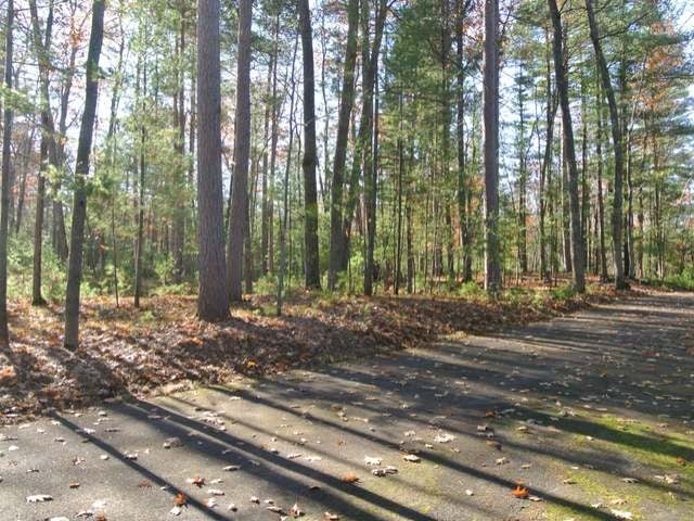 Lot 3 Streater Road Minocqua, WI 54548 - Photo 11 of 19 Gallery Image 11