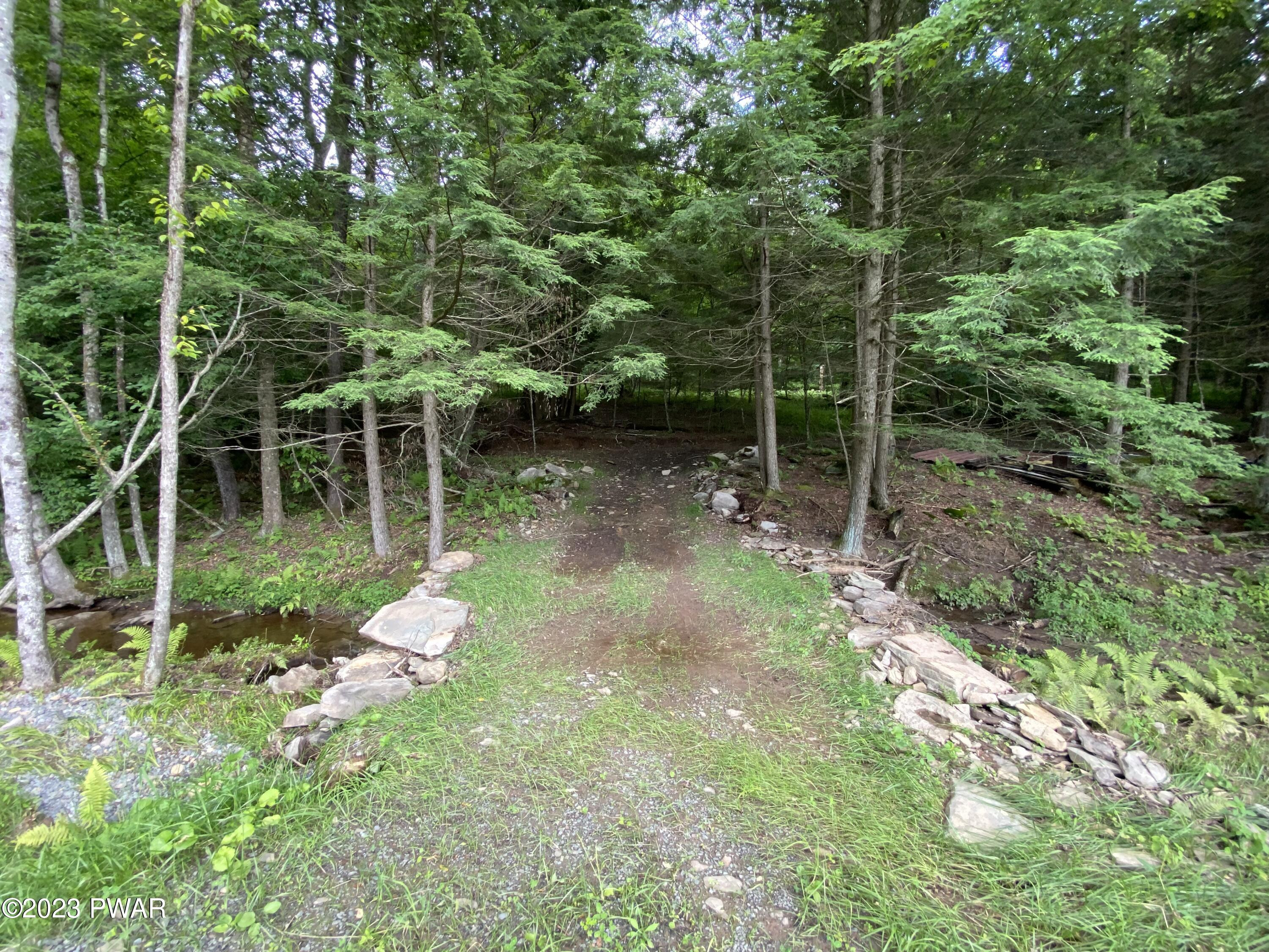 69 Layton Road Equinunk, PA 18417 - Photo 6 of 18 Trails 2
