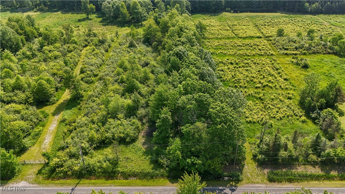 Brakeman Road Painesville, OH 44077 - Photo 1 of 24 Bird's eye view