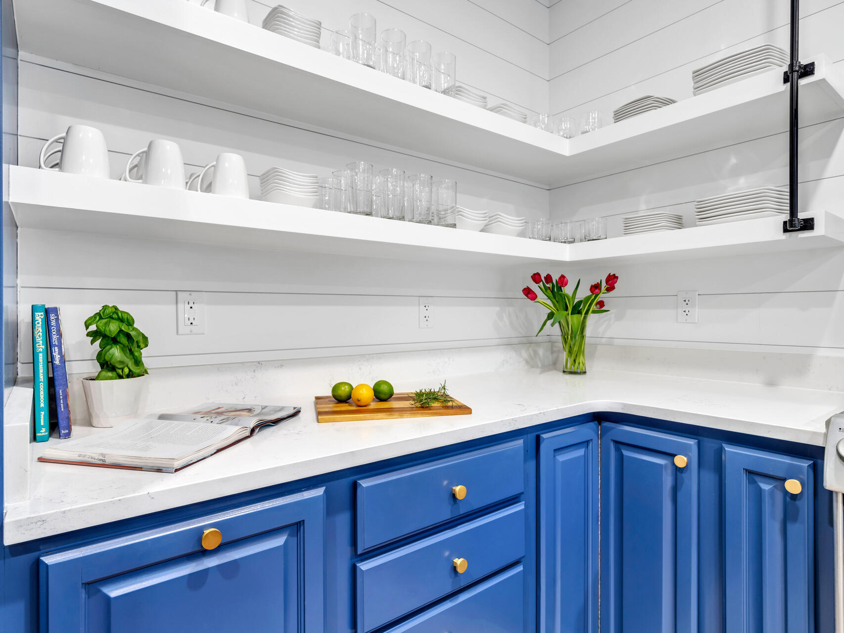 84 Mark Street Destin, FL 32541 - Photo 69 of 81 a kitchen with a potted plant on the counter and cabinets