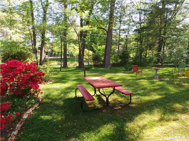 101 Forest Road Oxford, NC 27565 - Photo 24 of 25 This is the back yard looking toward Williamsboro Street. The back yard is a nice place to have a picnic.