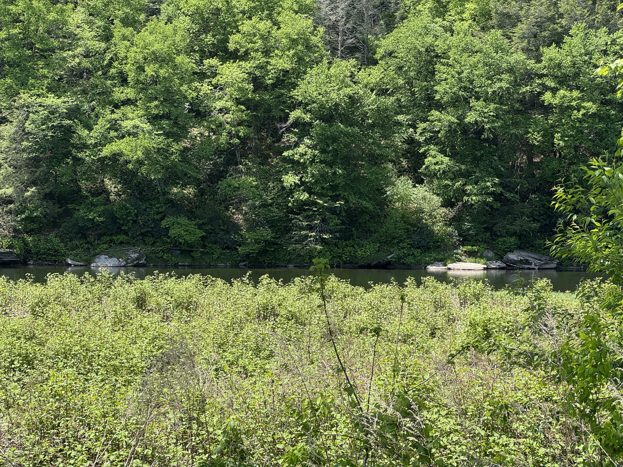200 Peters Road Hancock, NY 13783 - Photo 9 of 45