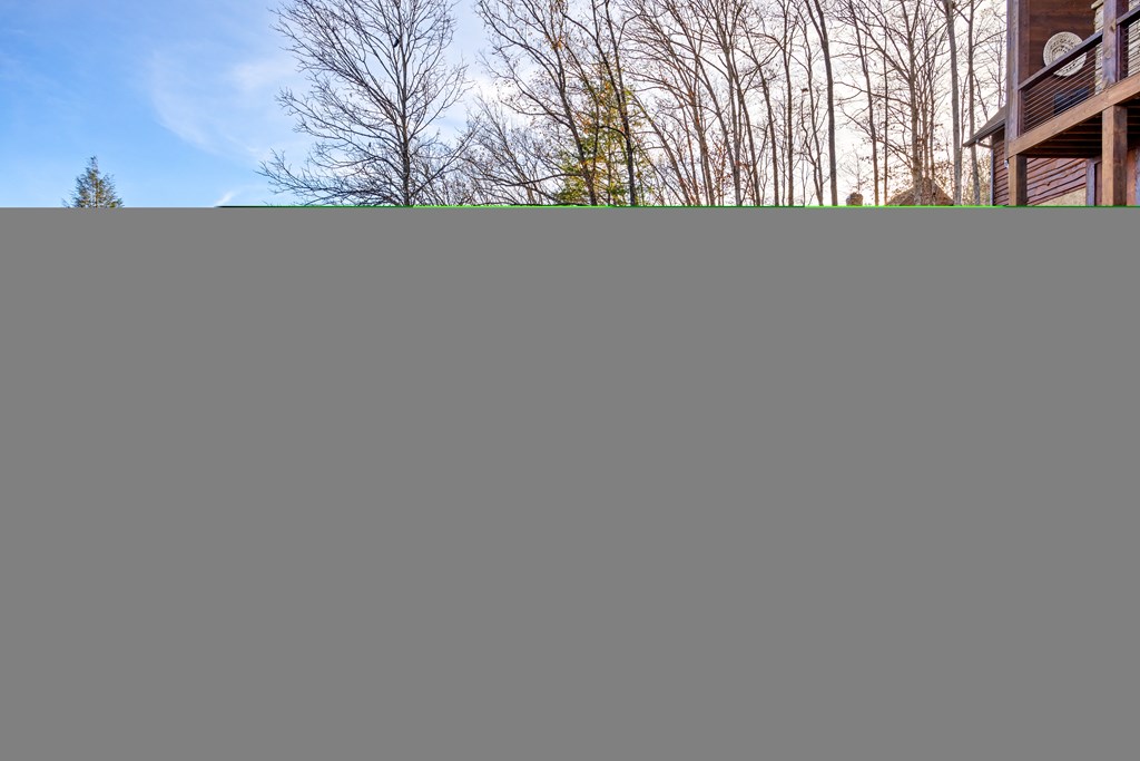 450 Miracle Lane Blue Ridge, GA 30513 - Photo 59 of 85