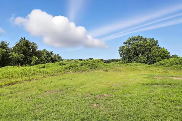 a view of a large yard with lots of green space