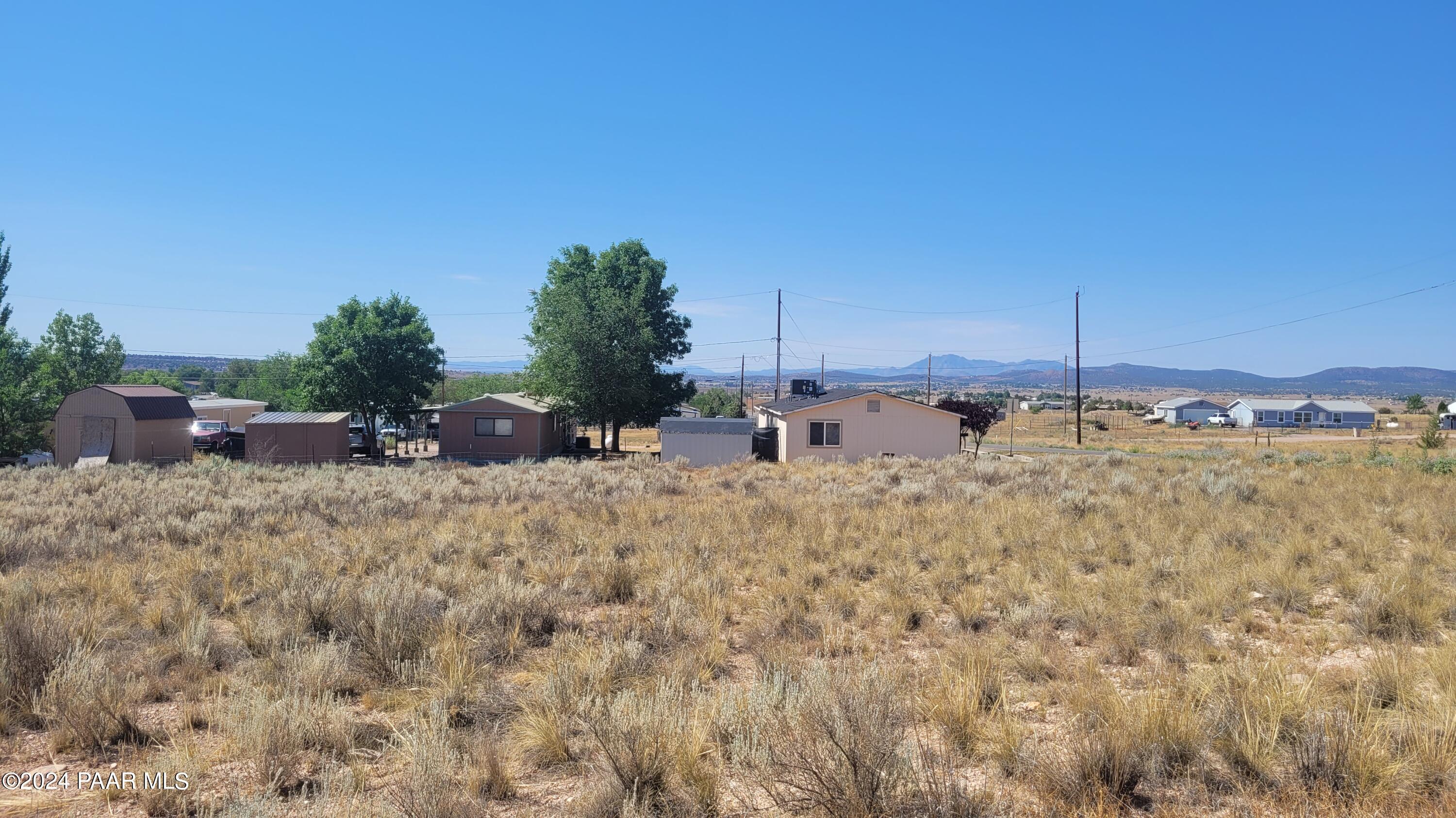 a view of a dry yard with trees