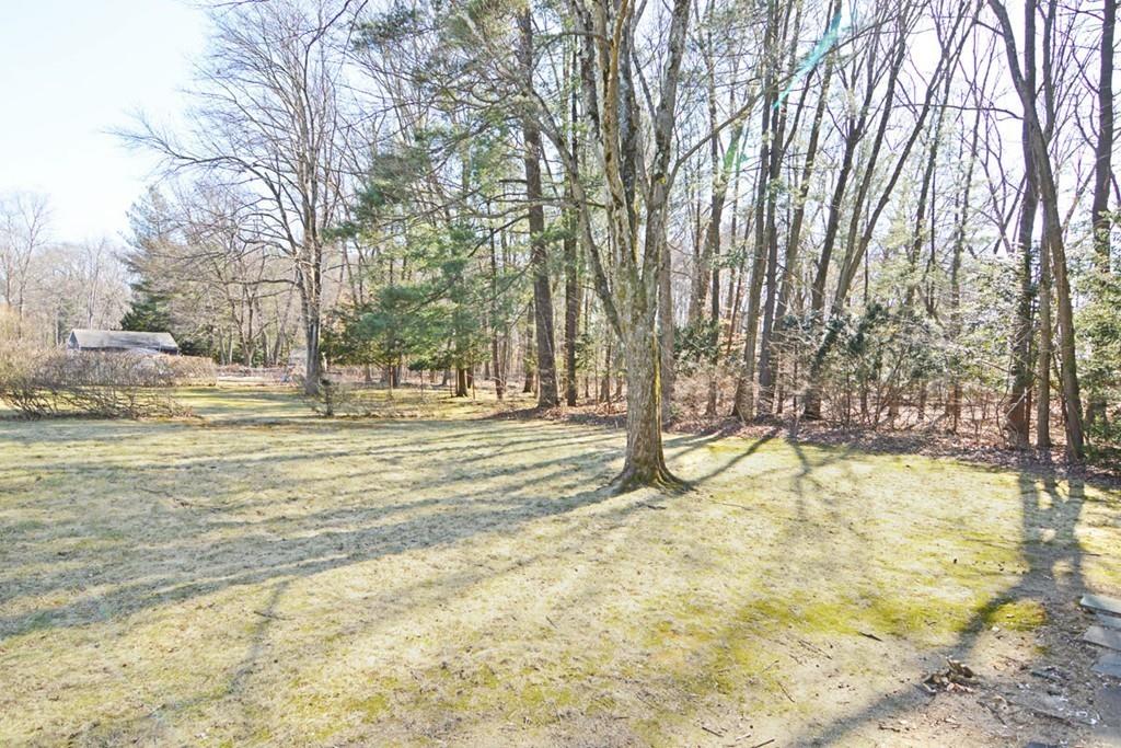 285 Maple Road Longmeadow, MA 01106 - Photo 21 of 25