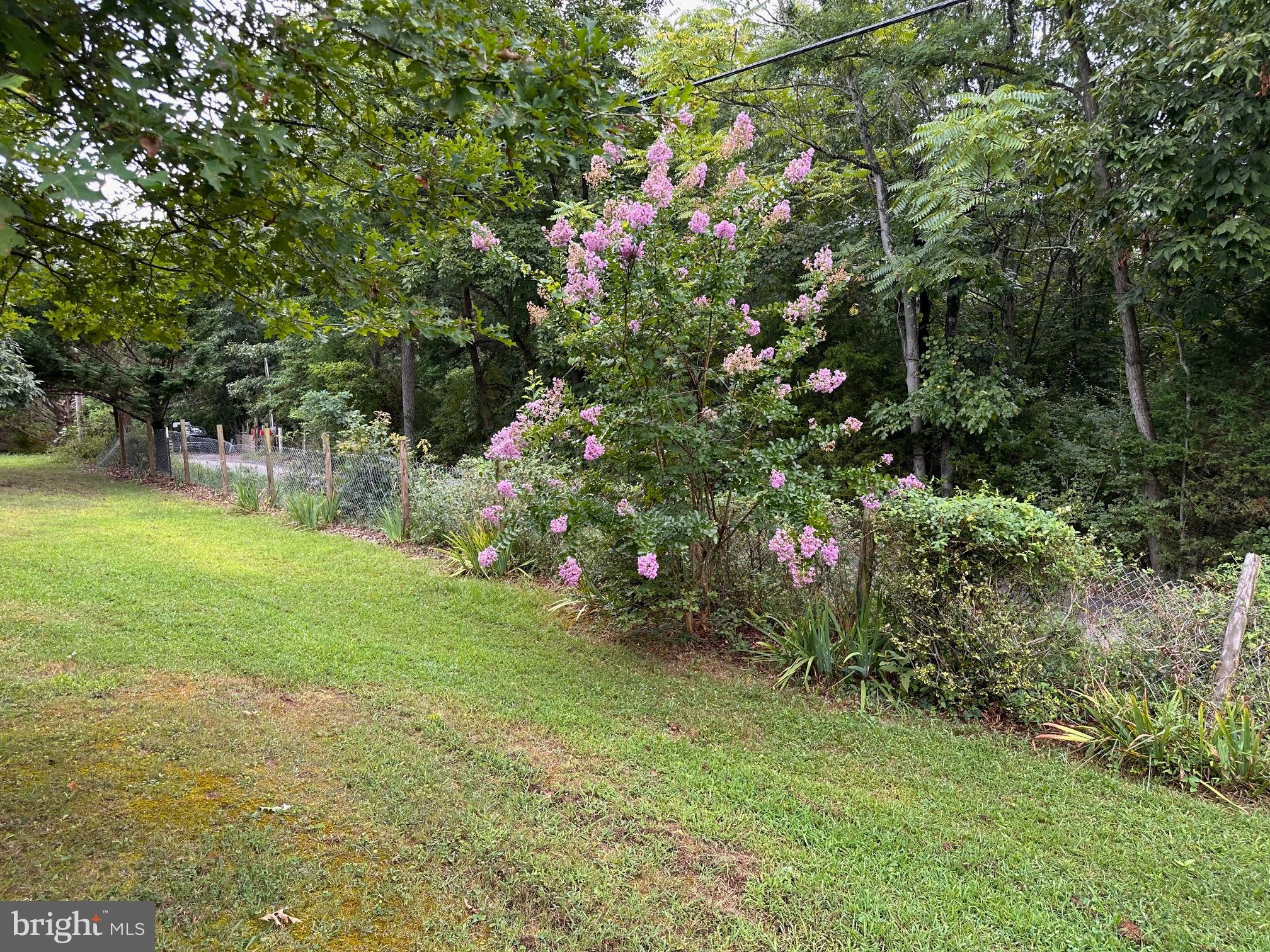 564 Shade Lane Berkeley Springs, WV 25411 - Photo 47 of 53