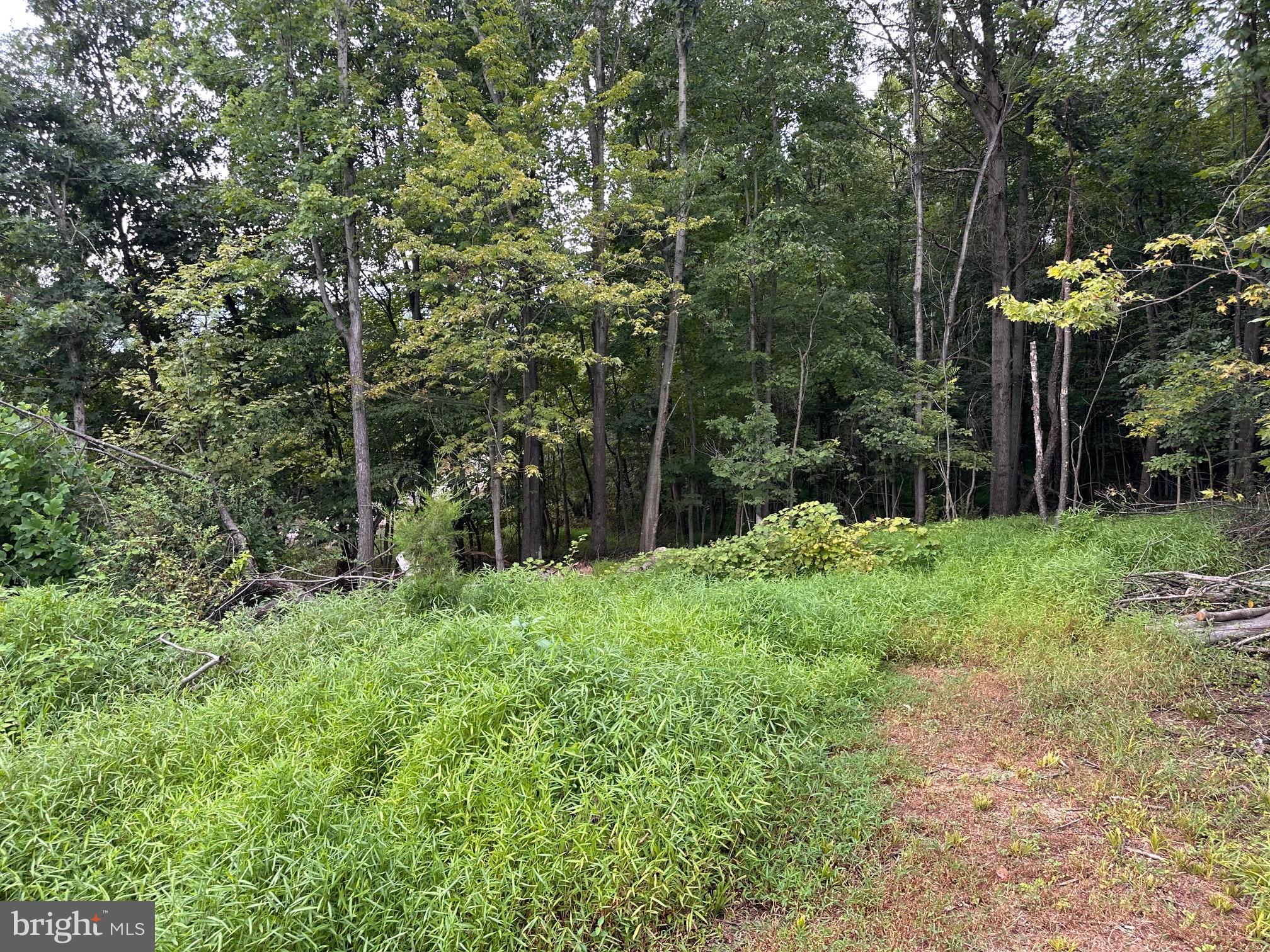 564 Shade Lane Berkeley Springs, WV 25411 - Photo 48 of 53