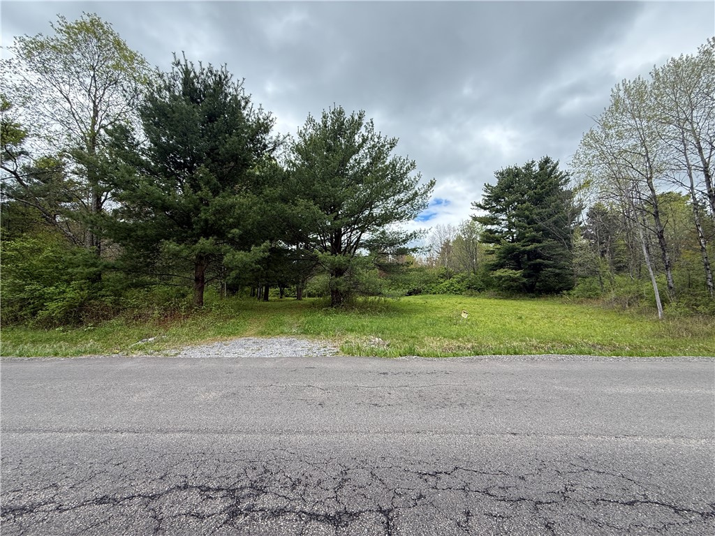 Caswell Road Freeville, NY 13068 - Photo 40 of 47
