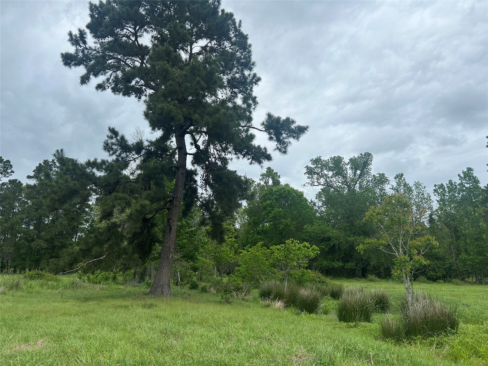 Lot 2 Minnie West Road Hull, TX 77564 - Photo 12 of 13