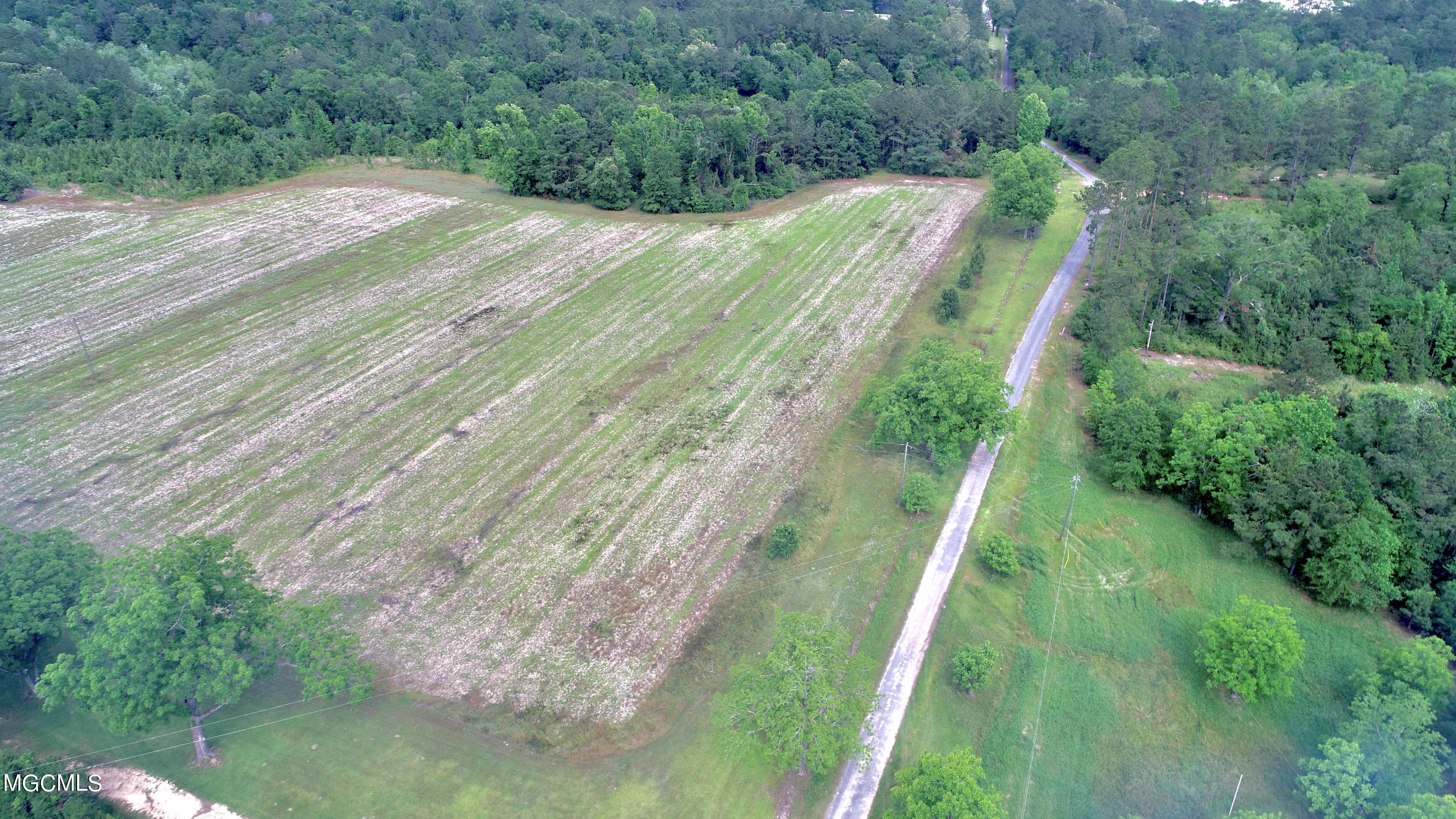 0 Tom Miller Road Leakesville, MS 39451 - Photo 3 of 7 9B40E368-B1CB-4253-8466-54697E0E8781_1_2