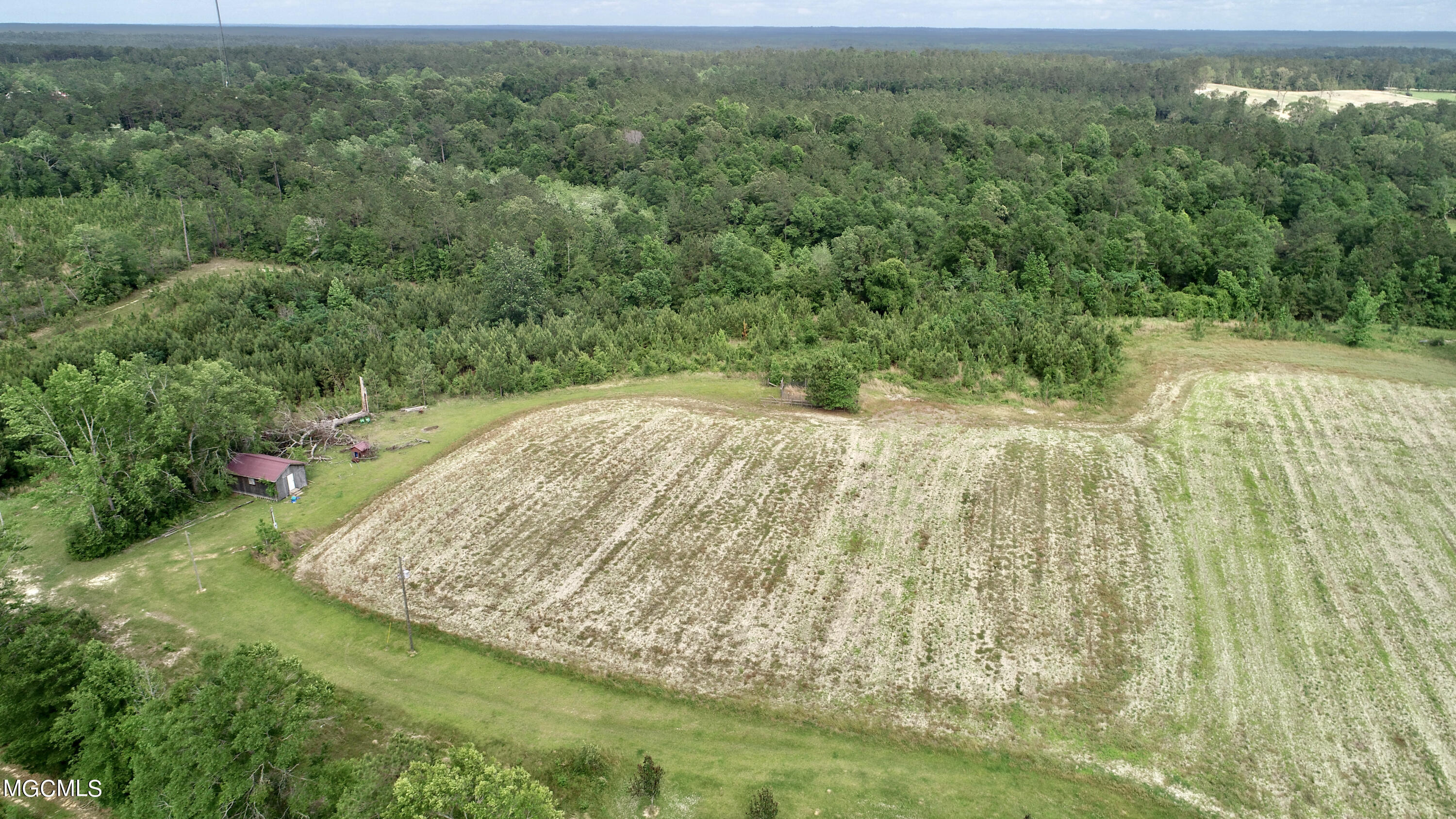 0 Tom Miller Road Leakesville, MS 39451 - Photo 6 of 7 EEDDADD6-F5F1-40DE-A069-EC02E0A9E372_1_2