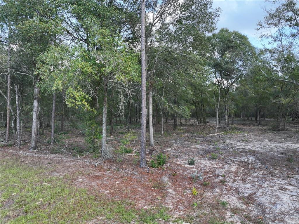 1 Spring Grove Road Jesup, GA 31545 - Photo 2 of 9