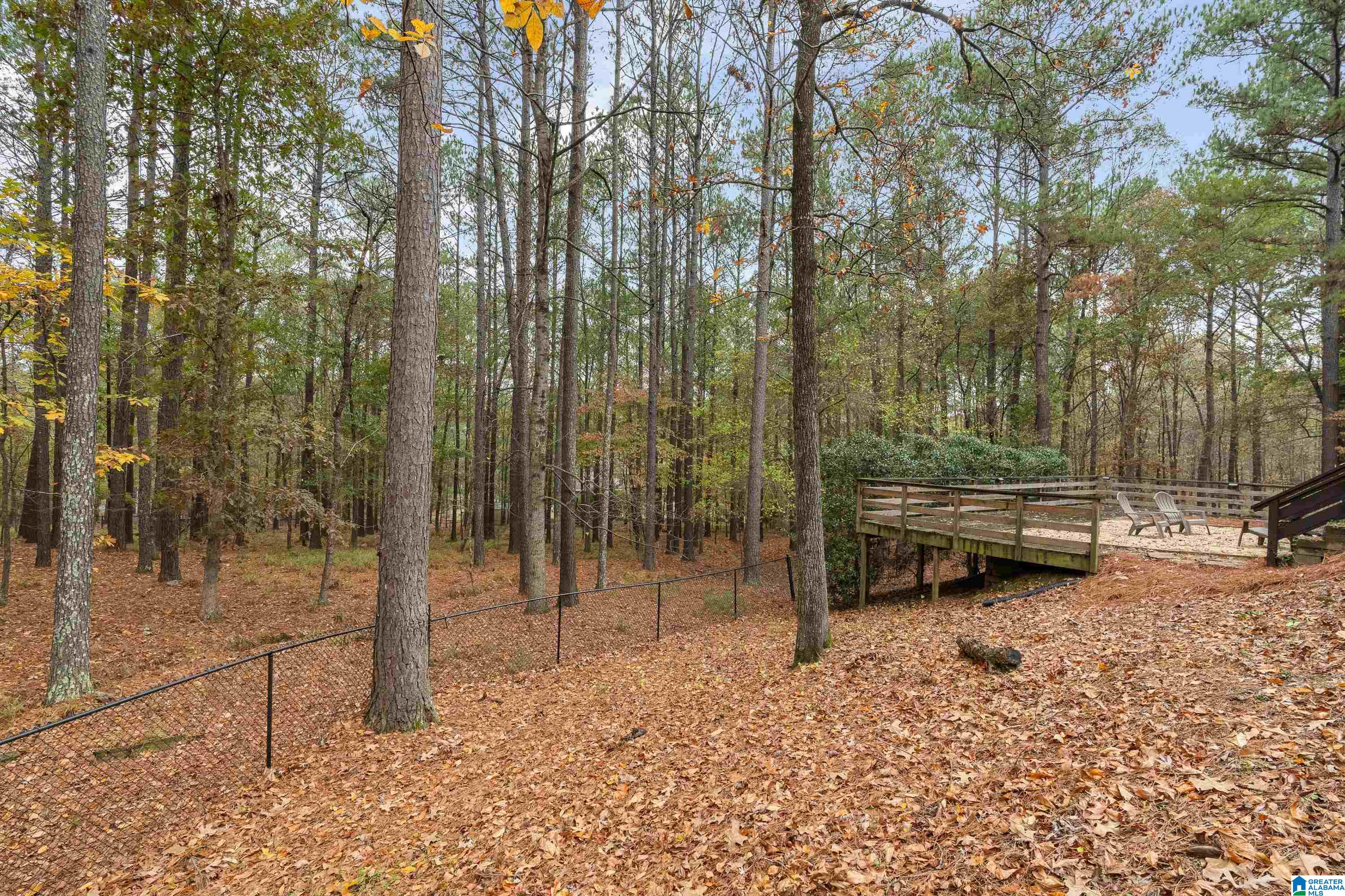 109 Trumpington Way Pelham, AL 35124 - Photo 62 of 77