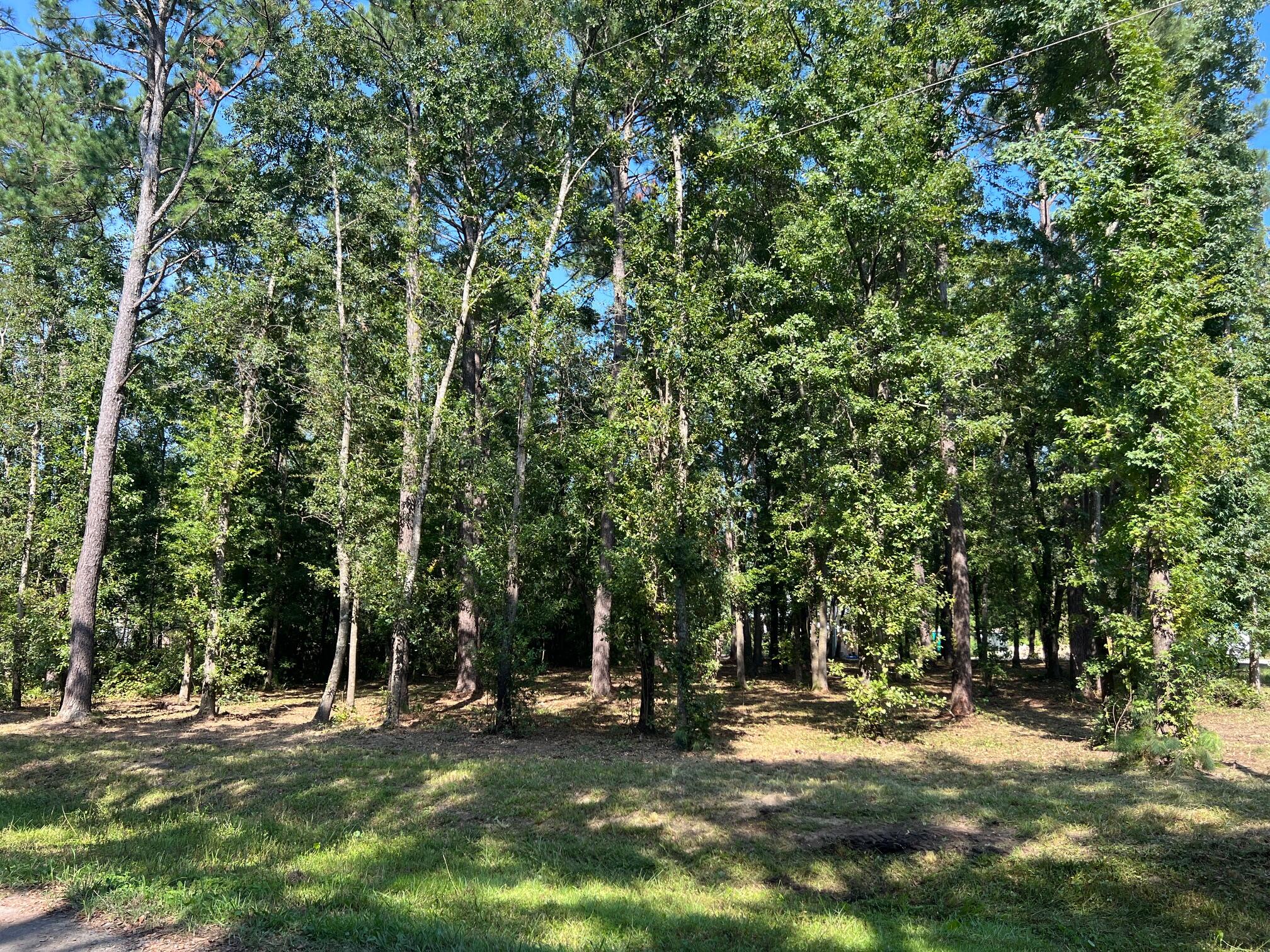 0 Oakview Lane Wando, SC 29492 - Photo 13 of 13 IMG_9085