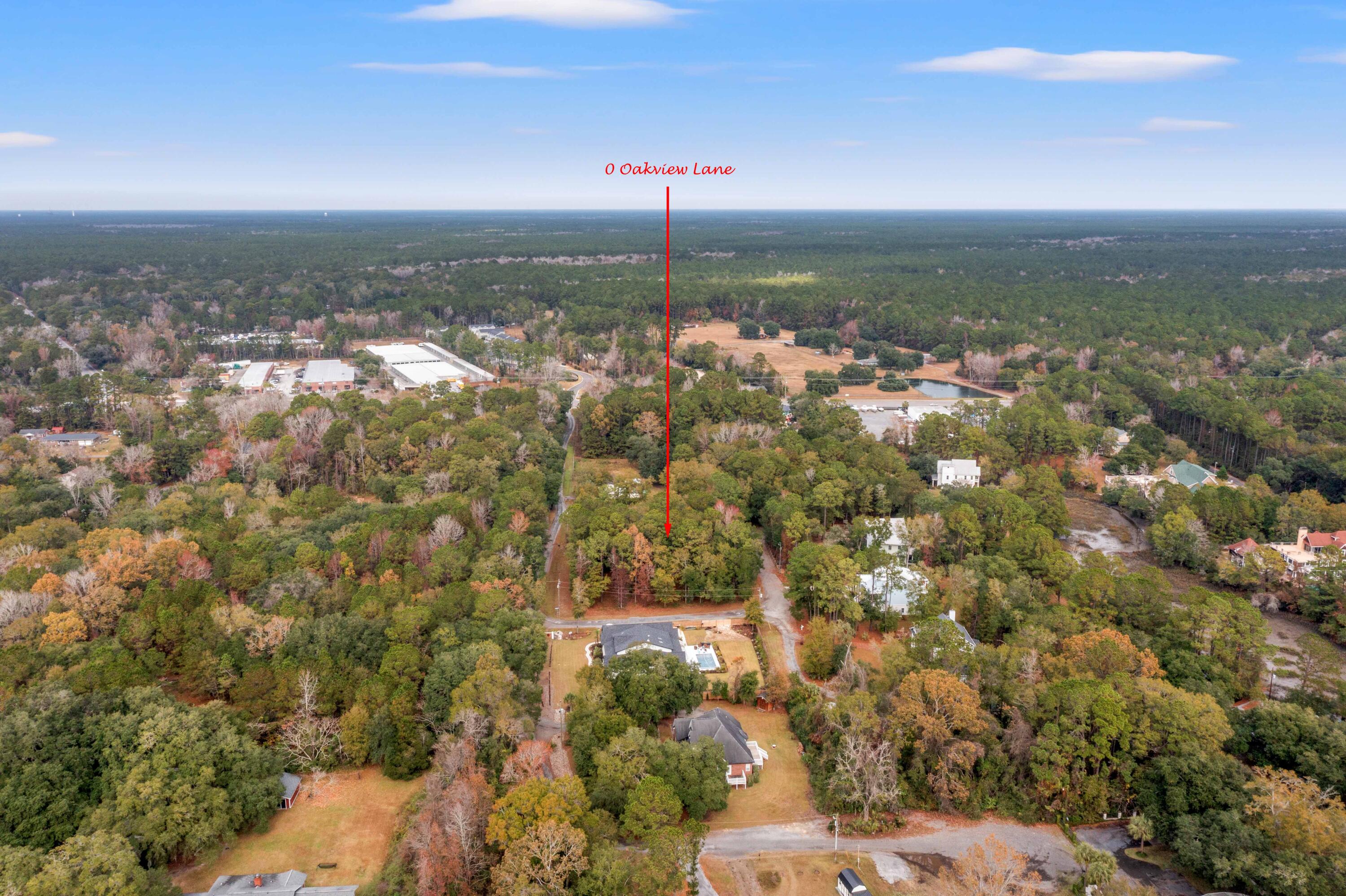 0 Oakview Lane Wando, SC 29492 - Photo 10 of 13 DJI_0143