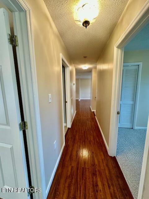 513 Highpoint Road Rose Hill, VA 24281 - Photo 24 of 39 hallway