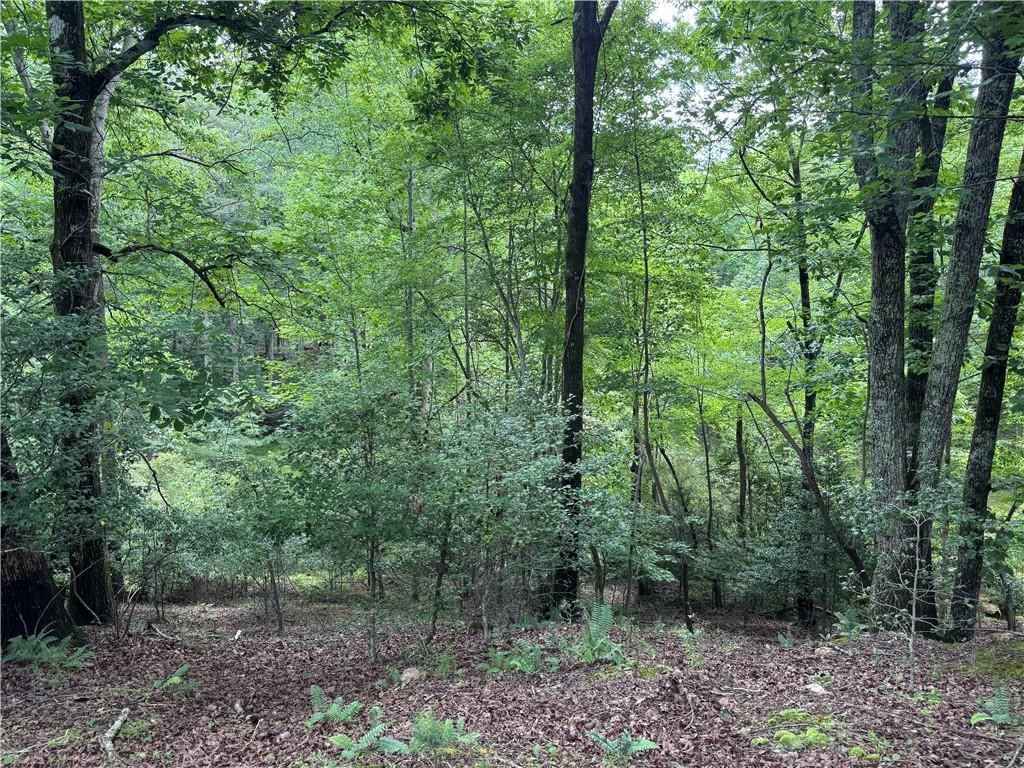 3.5-ac Ben Higgins Road Dahlonega, GA 30533 - Photo 11 of 21