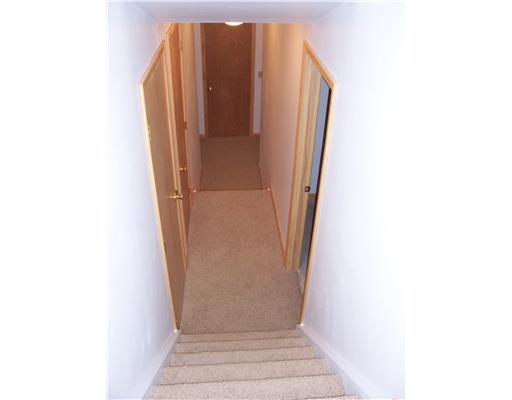 122 Harbison Road Valencia, PA 16059 - Photo 14 of 18 Other. Newly carpeted Stairs leading to the brand new finished 2-storied lower level (walk-out basement area)