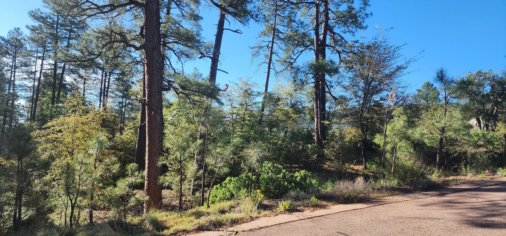 -- East Phoenix Street Payson, AZ 85541 - Photo 5 of 17 a view of a yard with plants and trees
