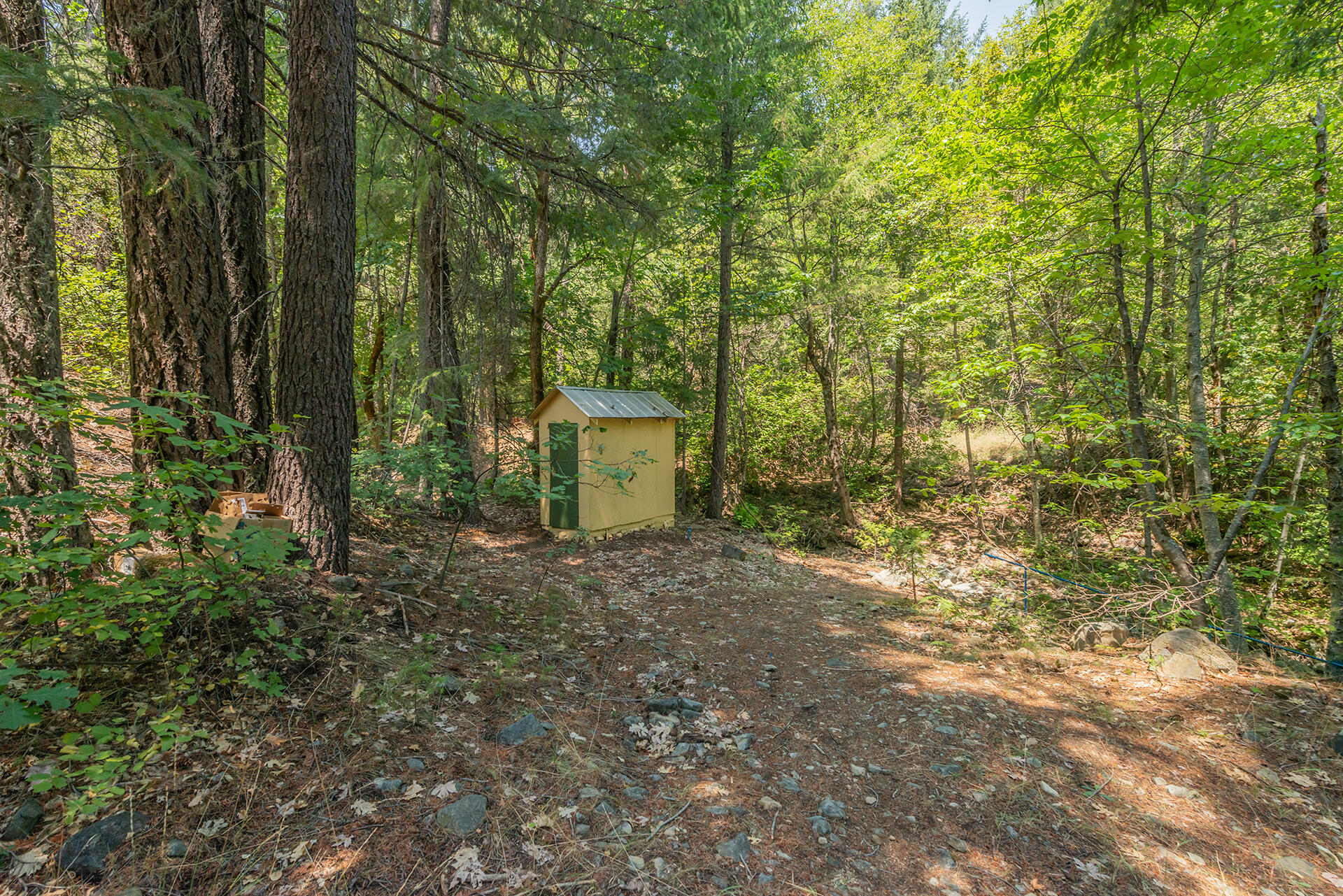1371 Eagle Creek Loop Trinity Center, CA 96091 - Photo 30 of 37 a view of a outdoor space and trees