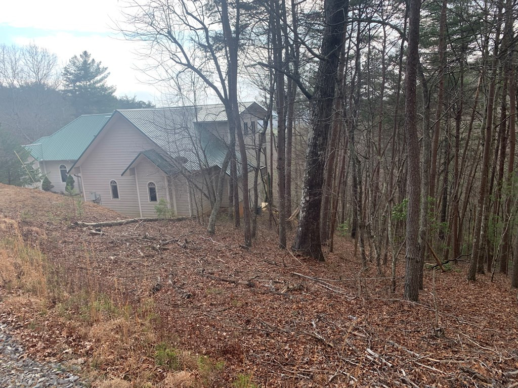 Lot 20 Wolf Ridge Lane Murphy, NC 28906 - Photo 21 of 27