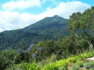 665 Goodhill Road Kentfield, CA 94904 - Photo 1 of 6