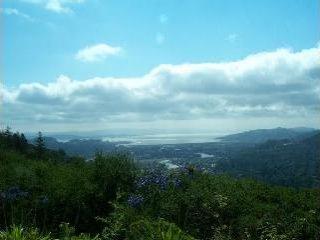 665 Goodhill Road Kentfield, CA 94904 - Photo 3 of 6