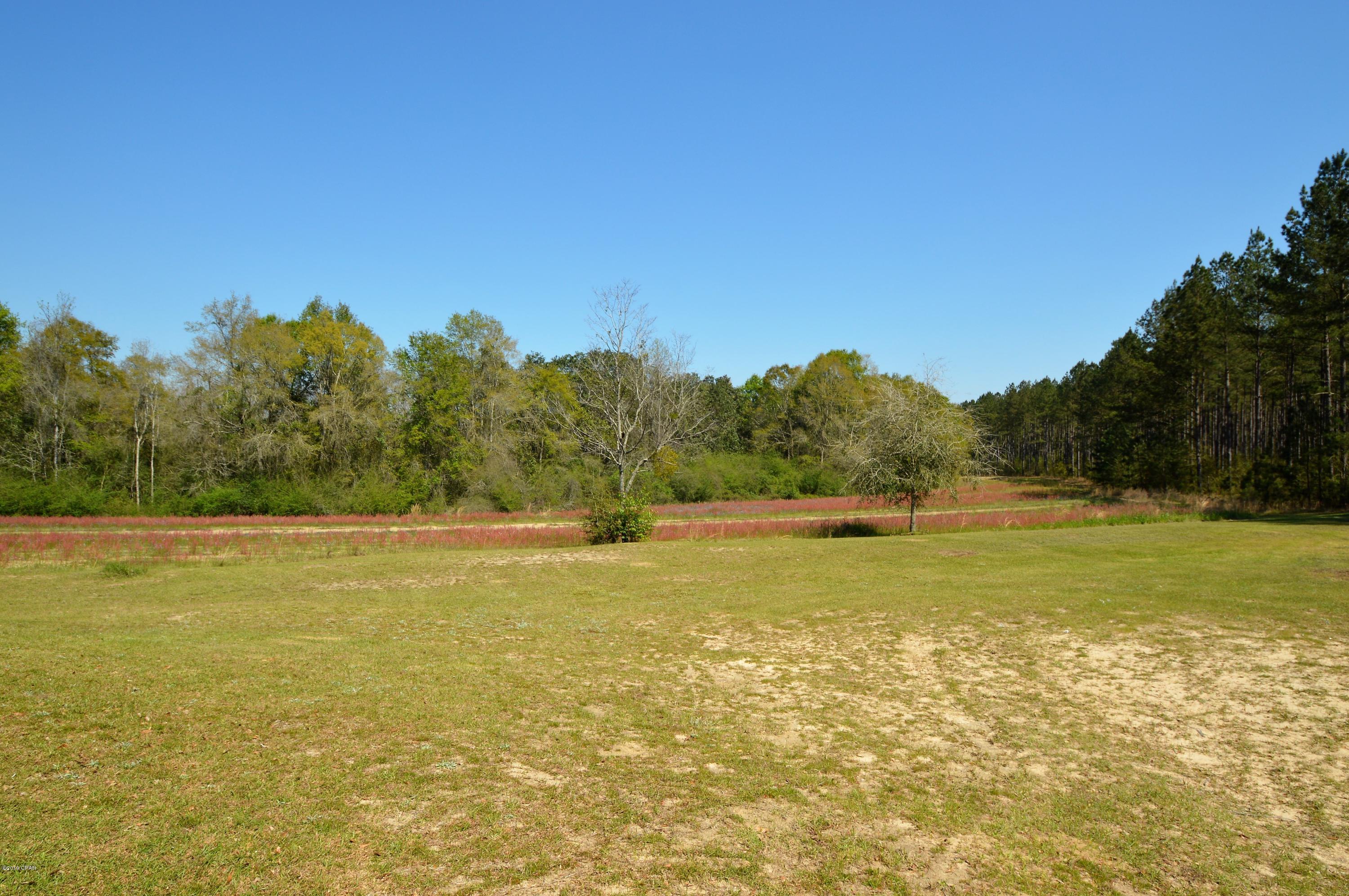 1039 McDonald Road Bonifay, FL 32425 - Photo 12 of 13