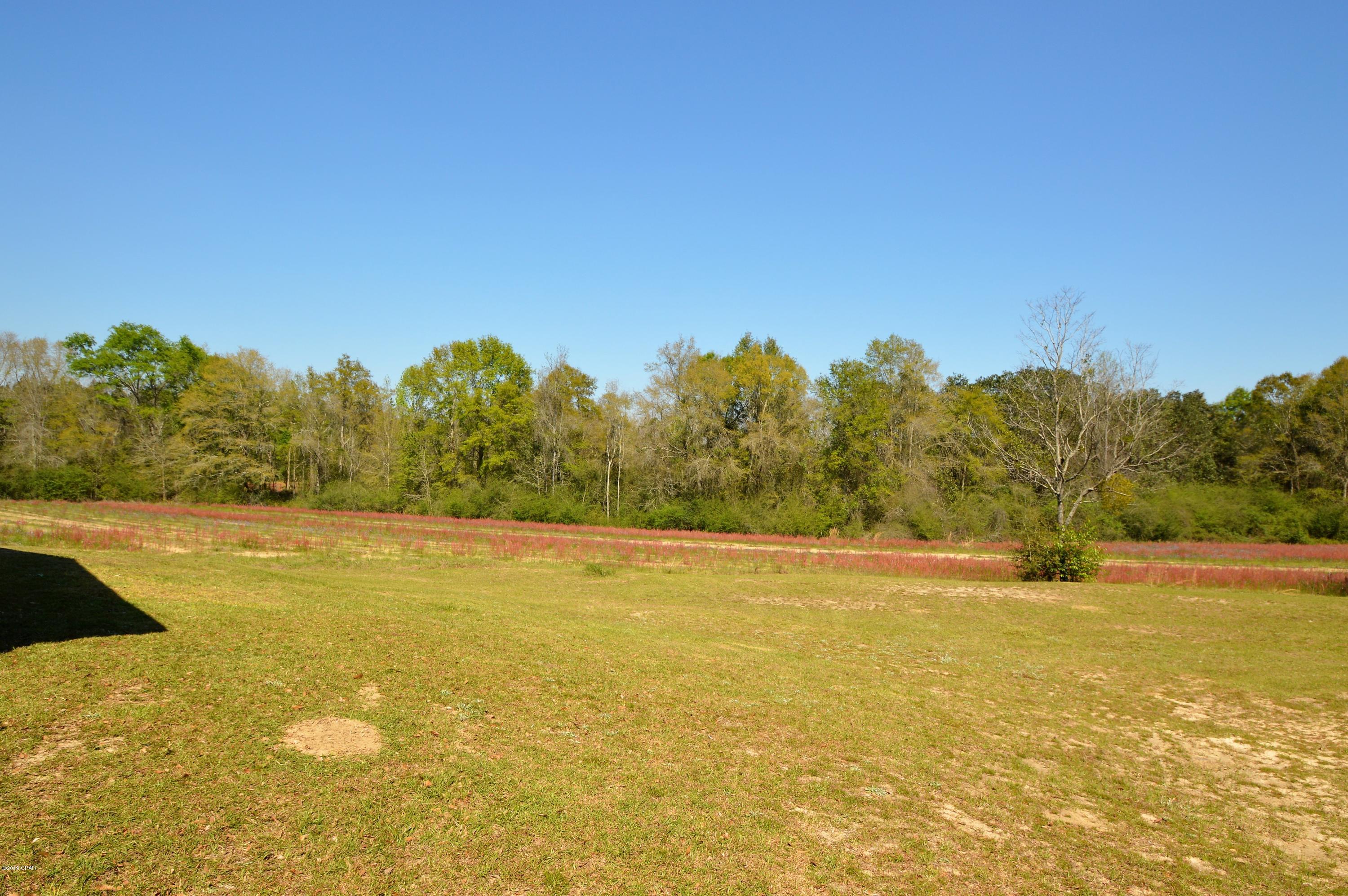 1039 McDonald Road Bonifay, FL 32425 - Photo 13 of 13