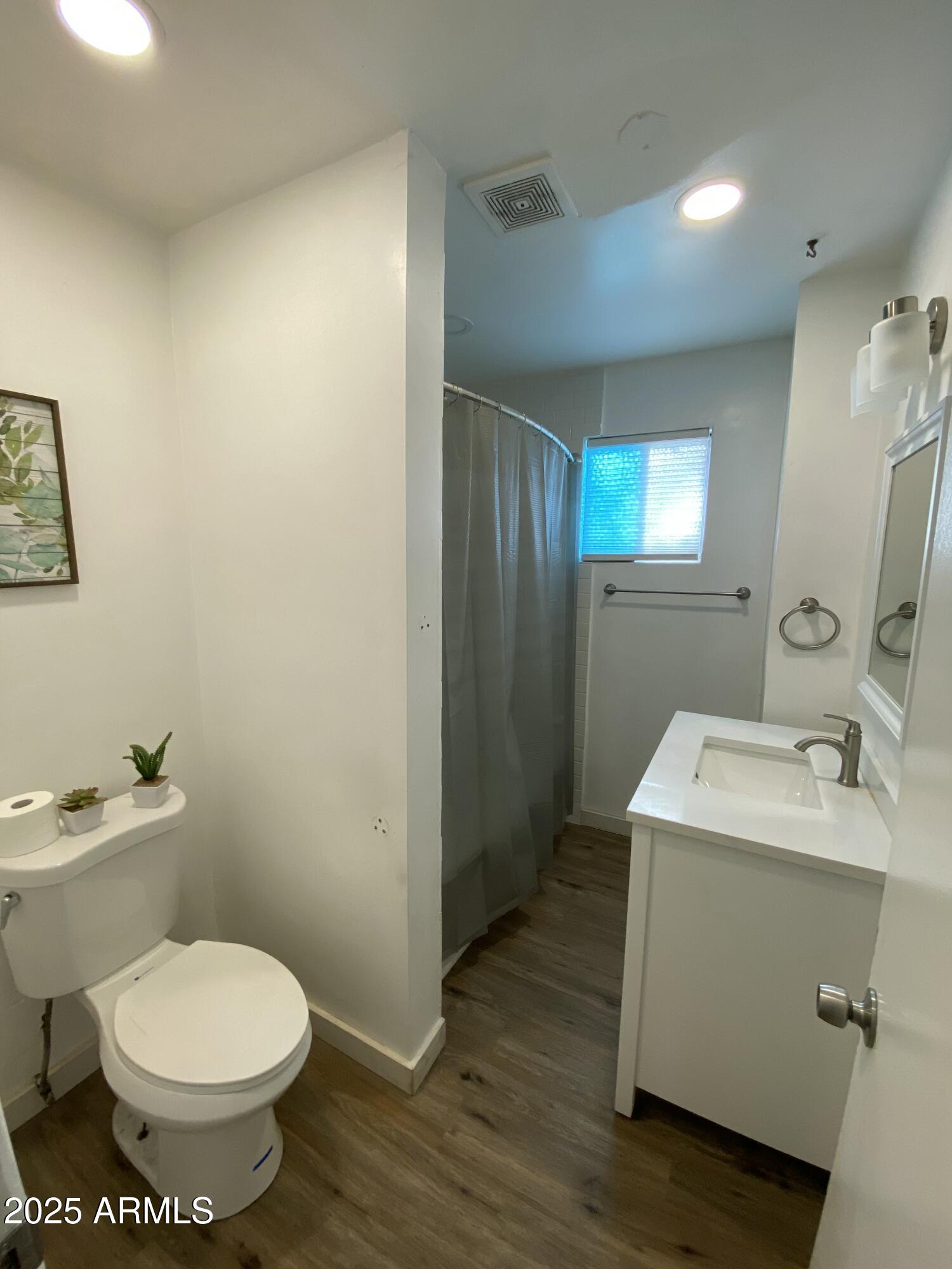 310 North Hosick Mesa, AZ 85201 - Photo 9 of 16 Bath 1