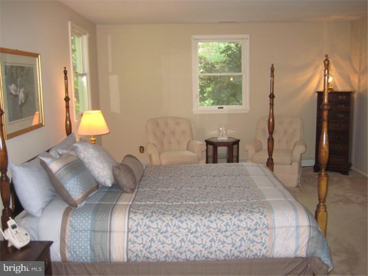 313 Pineville Road Newtown, PA 18940 - Photo 11 of 22 Bedroom - Main