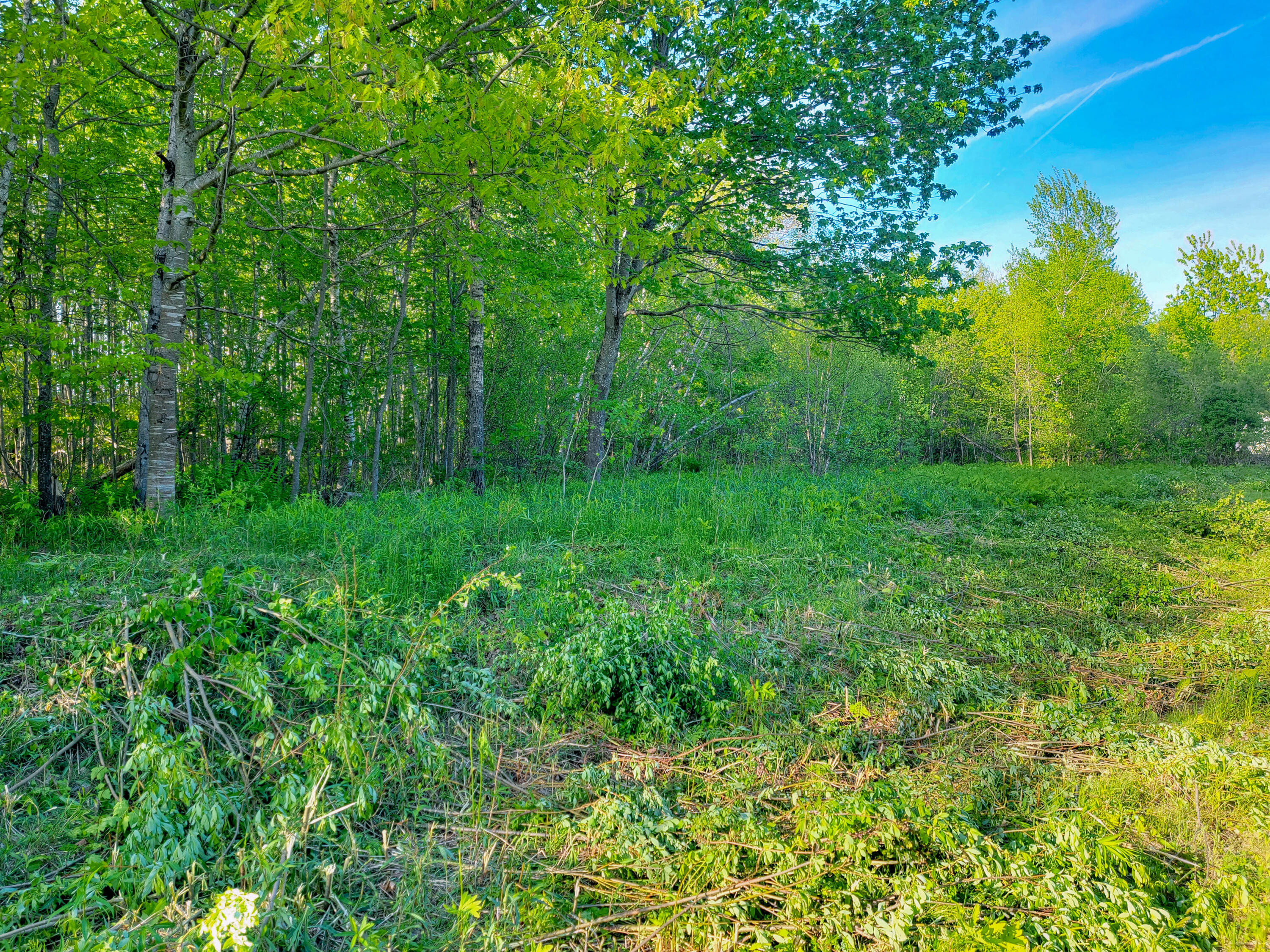 Lot 4 Newell Court (17 of 17)