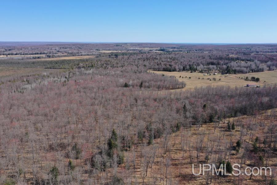 17058 Elsner Road Baraga, MI 49908 - Photo 35 of 45 Gallery Image 35