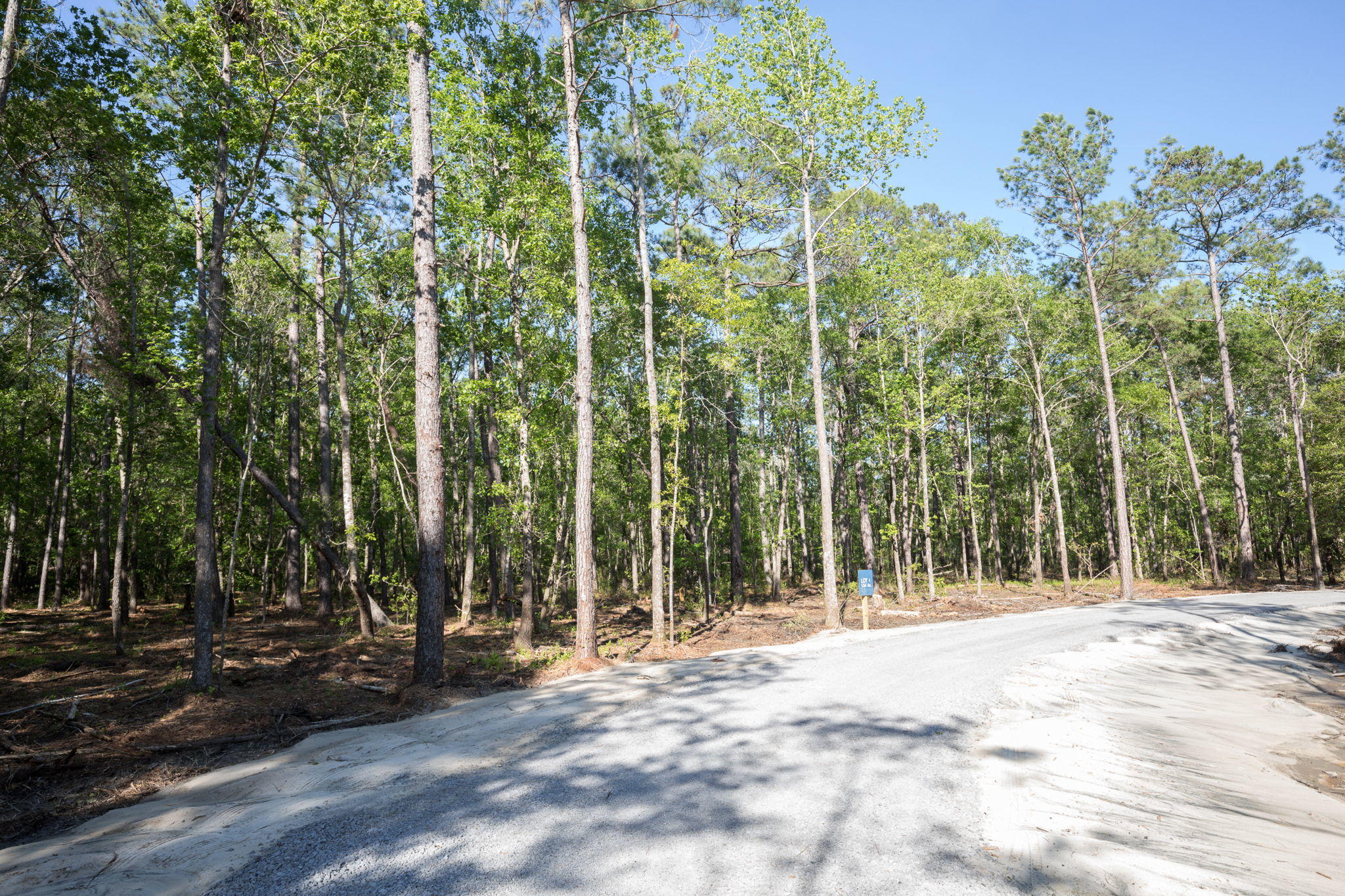 Lot 3 White Road Awendaw, SC 29429 - Photo 2 of 12 White+Rd+Awendaw-1-web