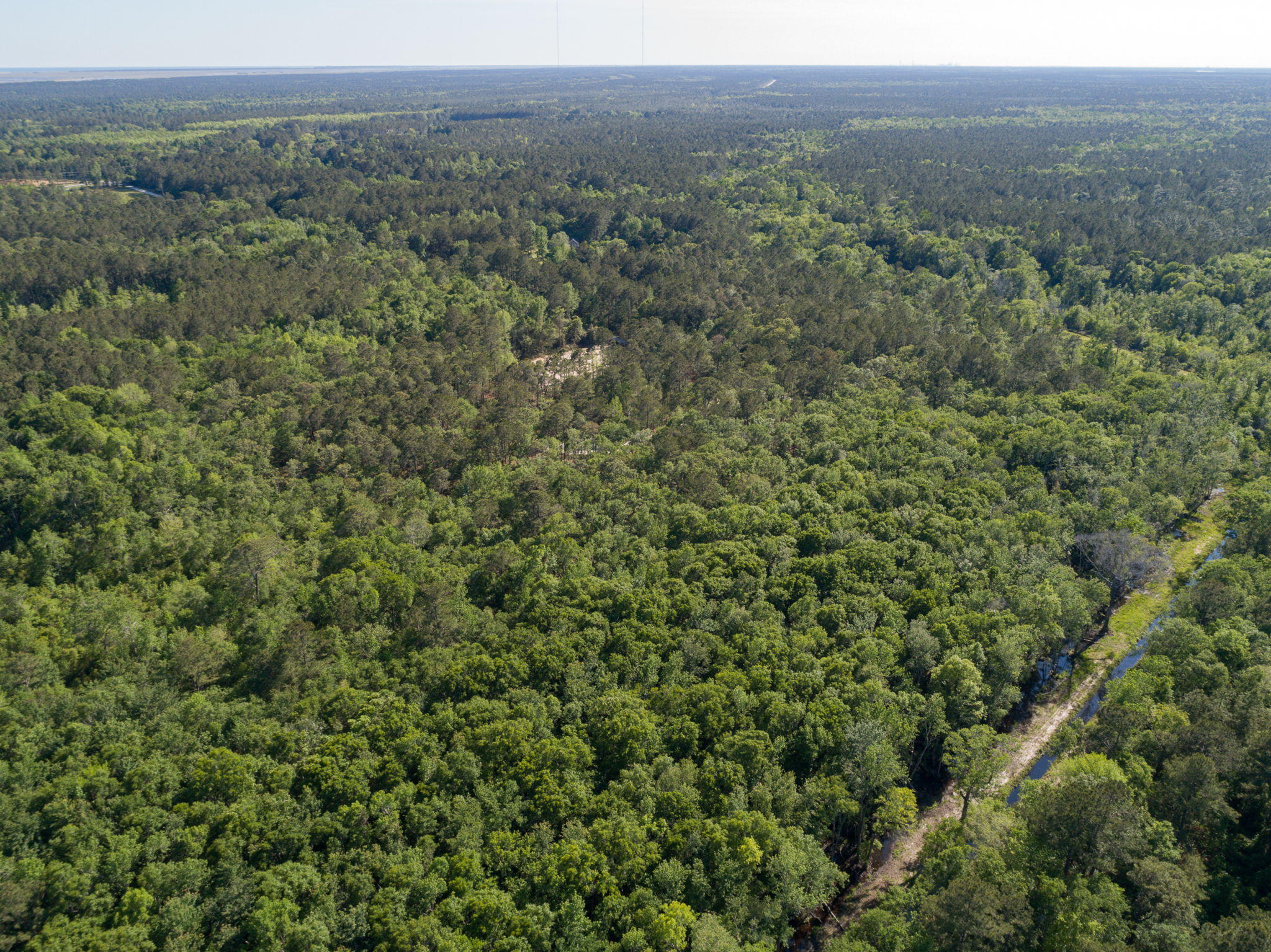 Lot 3 White Road Awendaw, SC 29429 - Photo 11 of 12 White+Rd+Awendaw-19-web