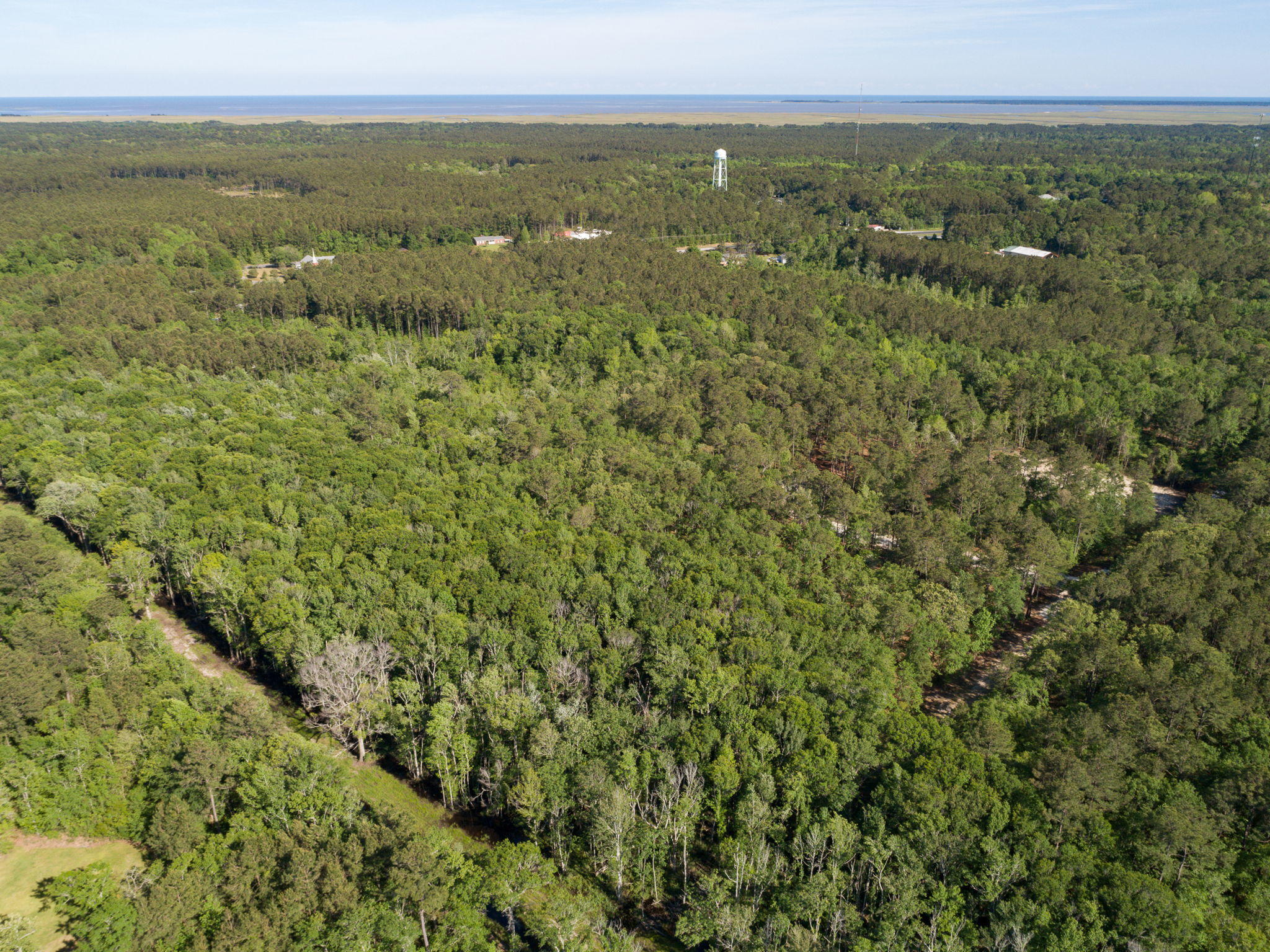 Lot 3 White Road Awendaw, SC 29429 - Photo 10 of 12 White+Rd+Awendaw-15-web