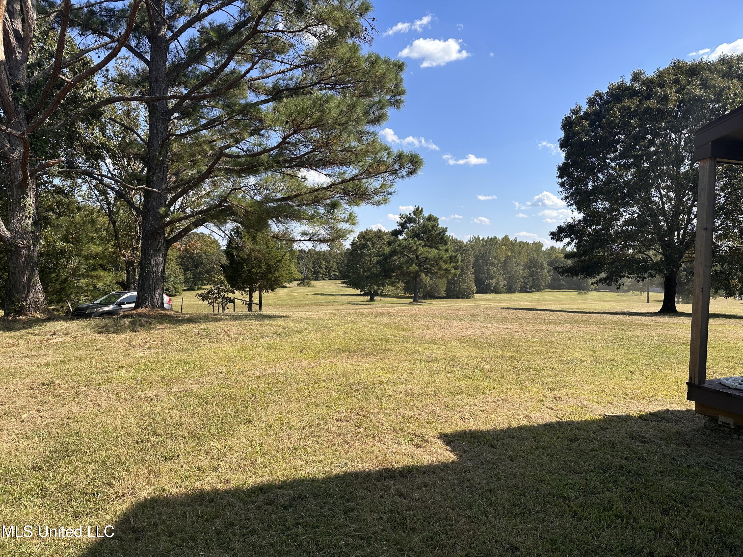 2661 Walhill Road Coldwater, MS 38618 - Photo 14 of 43 walhill IMG_2047